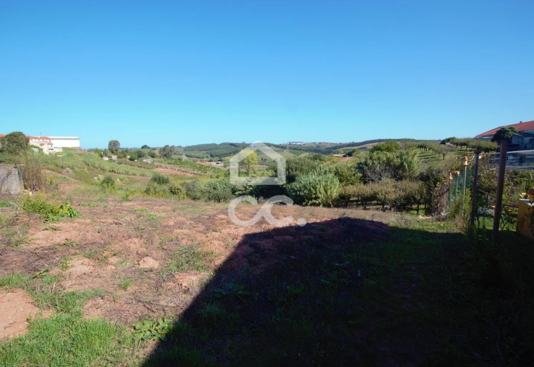 Terreno para Venda em Cadaval e Pêro Moniz Foto 5