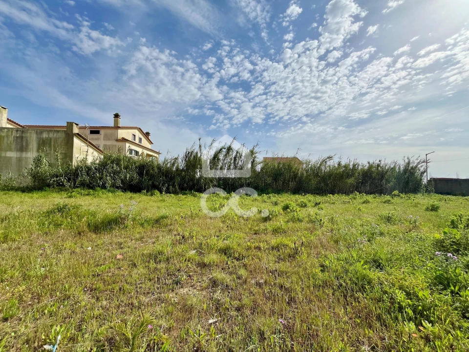 Terreno para Venda em Atouguia da Baleia Foto 4