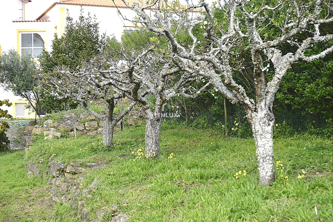 Quinta T5 para Venda em Enxara do Bispo, Gradil e Vila Franca do Rosário Foto 47