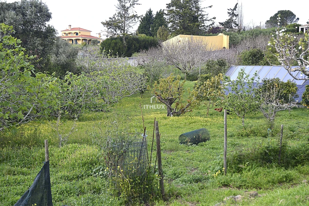 Quinta T5 para Venda em Enxara do Bispo, Gradil e Vila Franca do Rosário Foto 46