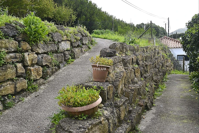 Quinta T5 para Venda em Enxara do Bispo, Gradil e Vila Franca do Rosário Foto 42
