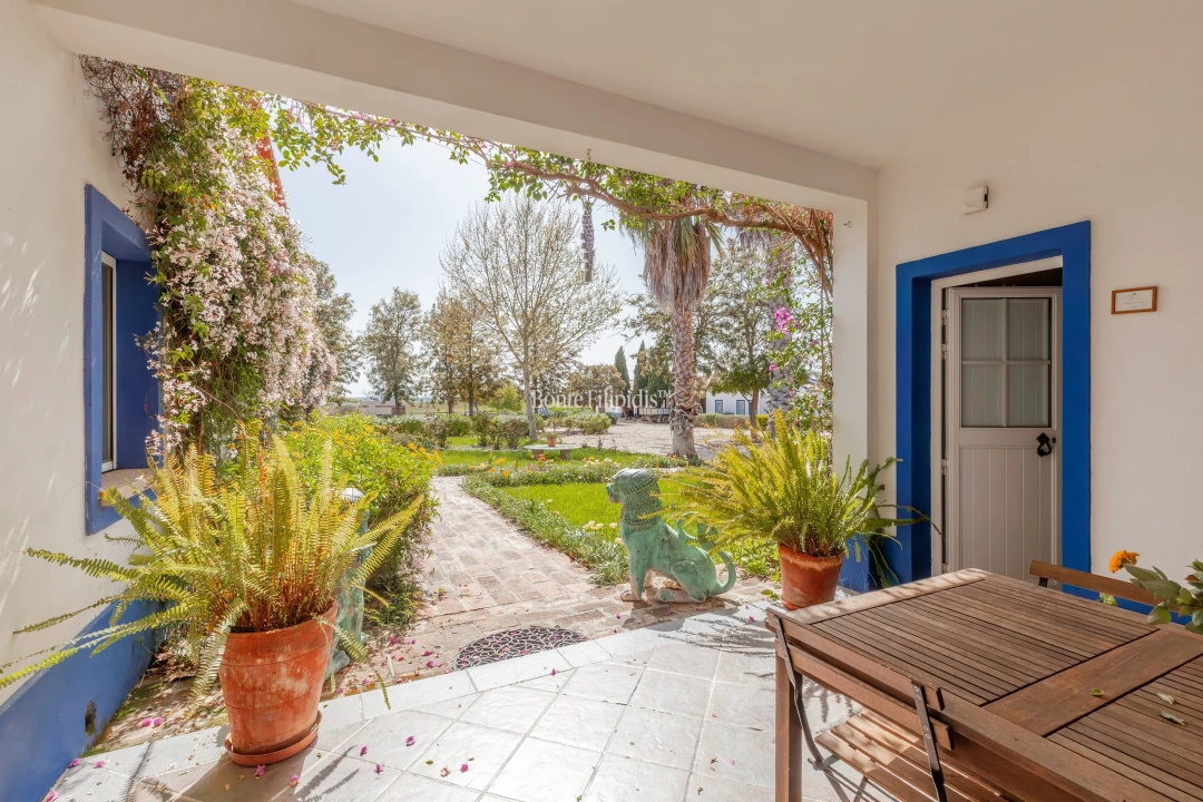 Quinta T7 para Venda em Selmes Foto 8