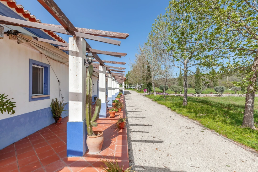 Quinta T7 para Venda em Selmes Foto 20