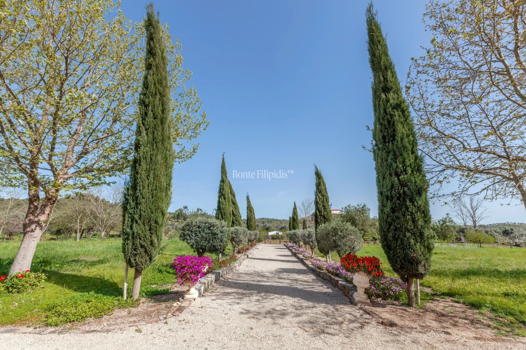 Quinta T7 para Venda em Selmes Foto 21