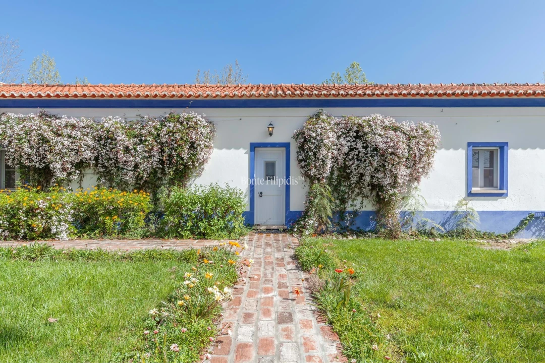 Quinta T7 para Venda em Selmes Foto 5