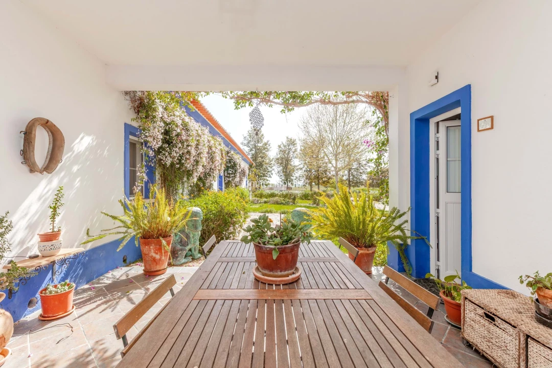 Quinta T7 para Venda em Selmes Foto 7