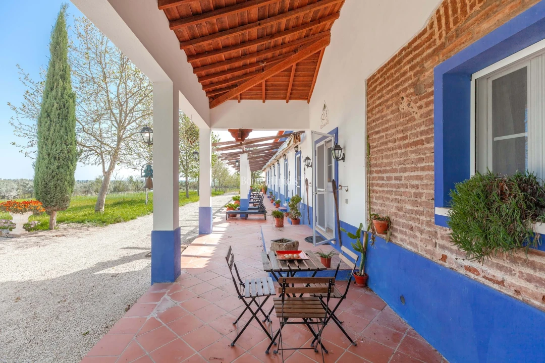 Quinta T7 para Venda em Selmes Foto 18