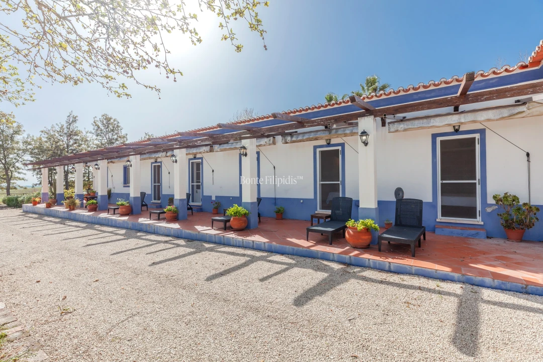 Quinta T7 para Venda em Selmes Foto 2