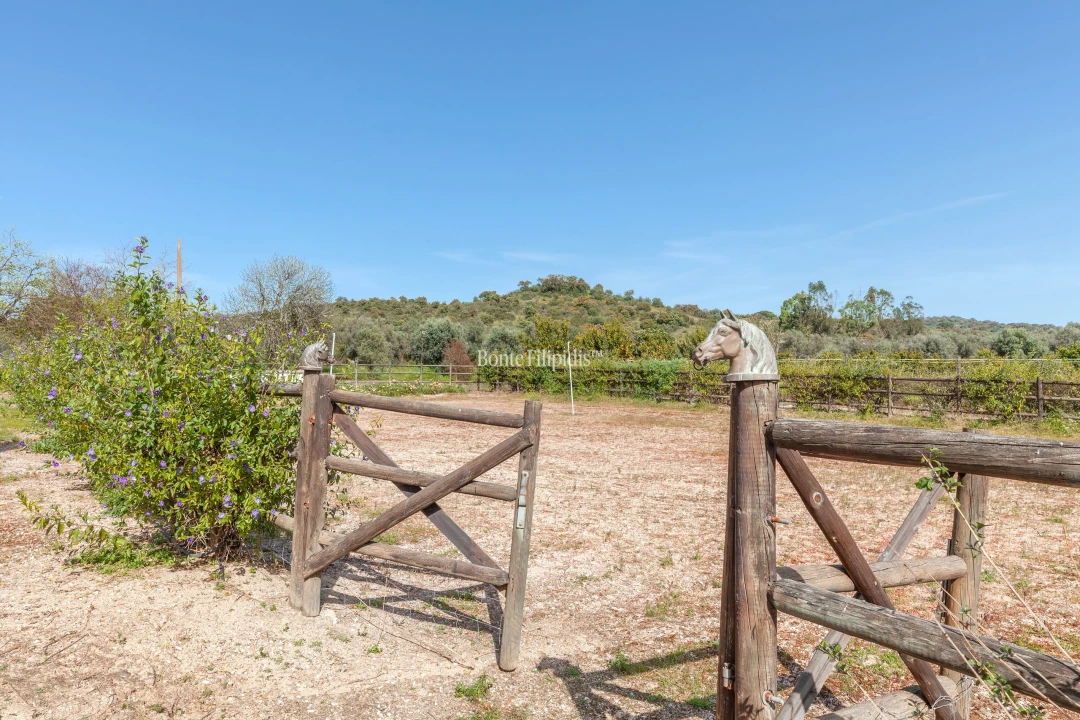 Quinta T7 para Venda em Selmes Foto 23