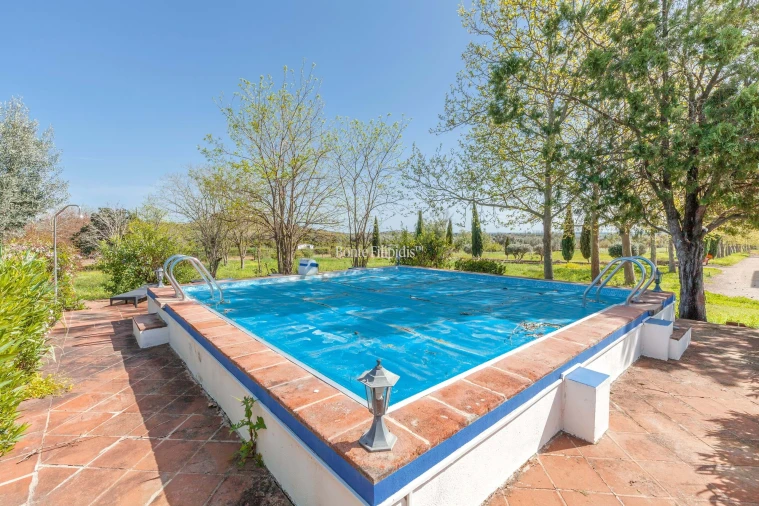 Quinta T7 para Venda em Selmes Foto 16