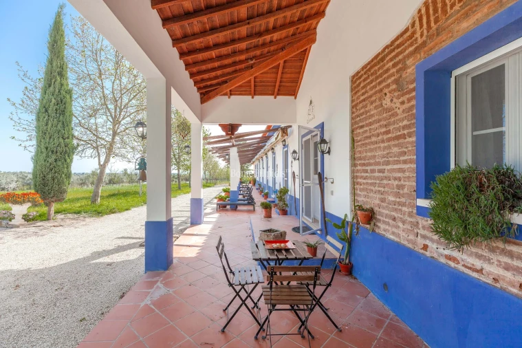 Quinta T7 para Venda em Selmes Foto 18