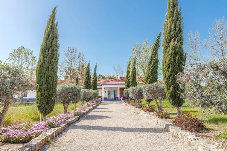 Quinta T7 para Venda em Selmes Foto 22