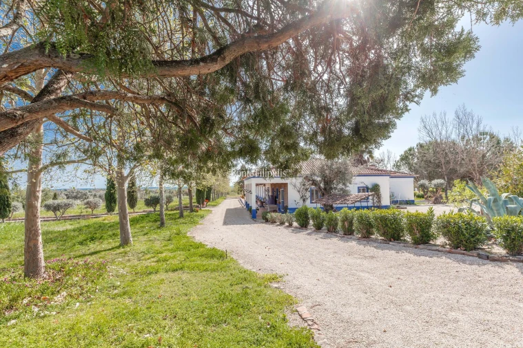 Quinta T7 para Venda em Selmes Foto 17