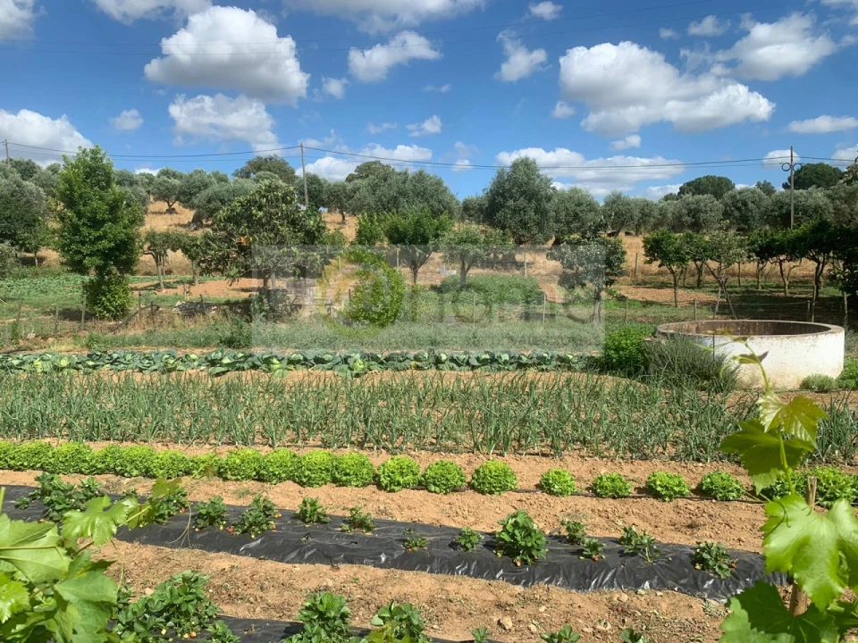 Quinta T5 para Venda em Nossa Senhora da Vila, Nossa Senhora do Bispo e Silveiras Foto 10