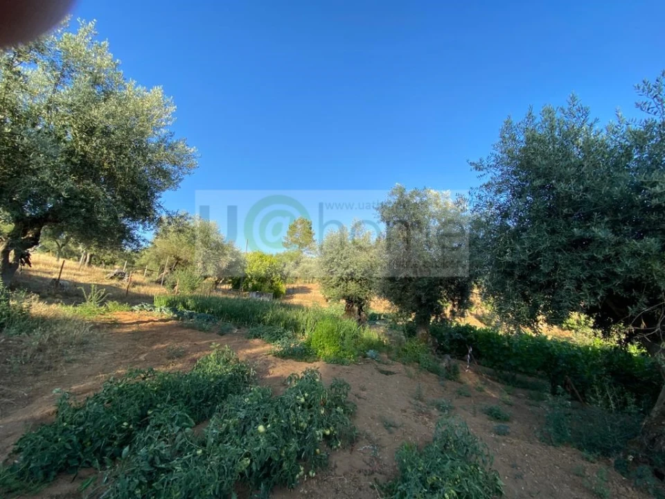 Quinta T5 para Venda em Nossa Senhora da Vila, Nossa Senhora do Bispo e Silveiras Foto 26