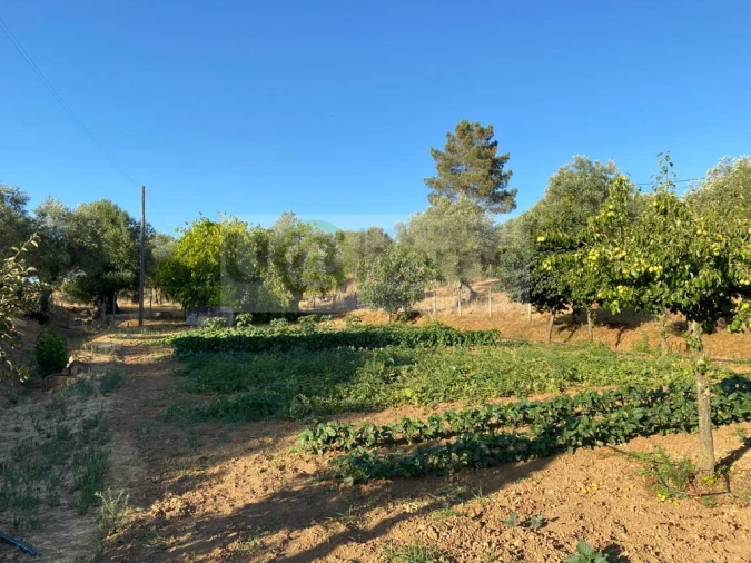 Quinta T5 para Venda em Nossa Senhora da Vila, Nossa Senhora do Bispo e Silveiras Foto 27
