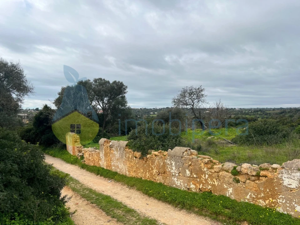 Terreno Misto para Venda em Alcantarilha e Pêra Foto 10