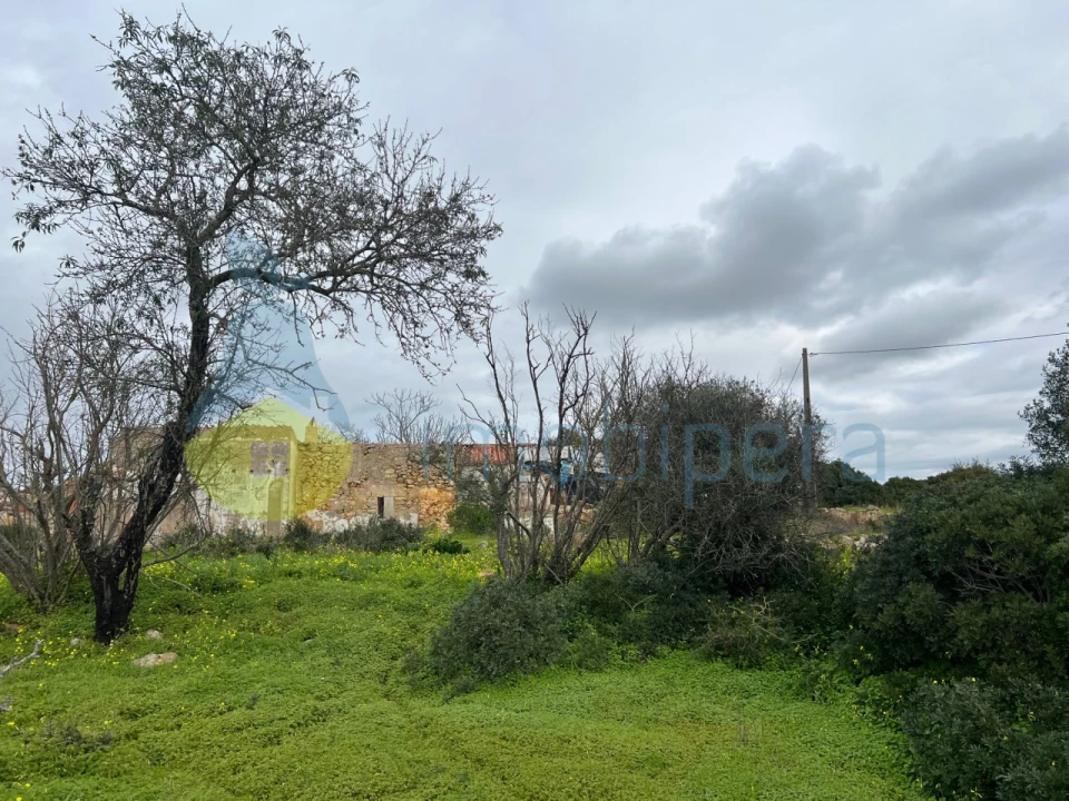 Terreno Misto para Venda em Alcantarilha e Pêra Foto 13