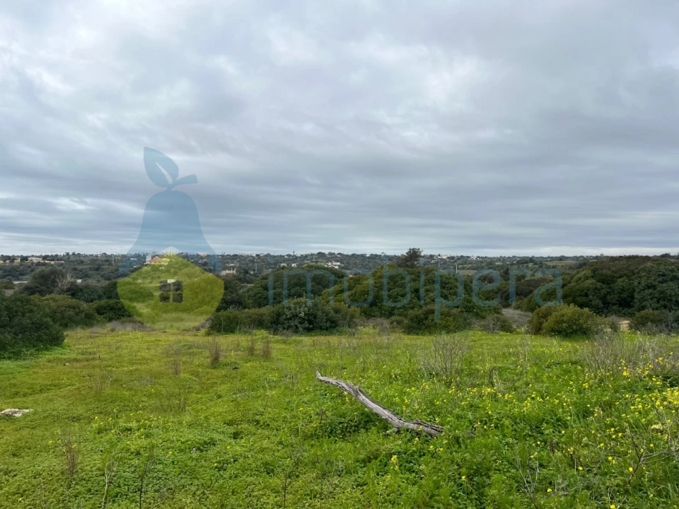 Terreno Misto para Venda em Alcantarilha e Pêra Foto 17