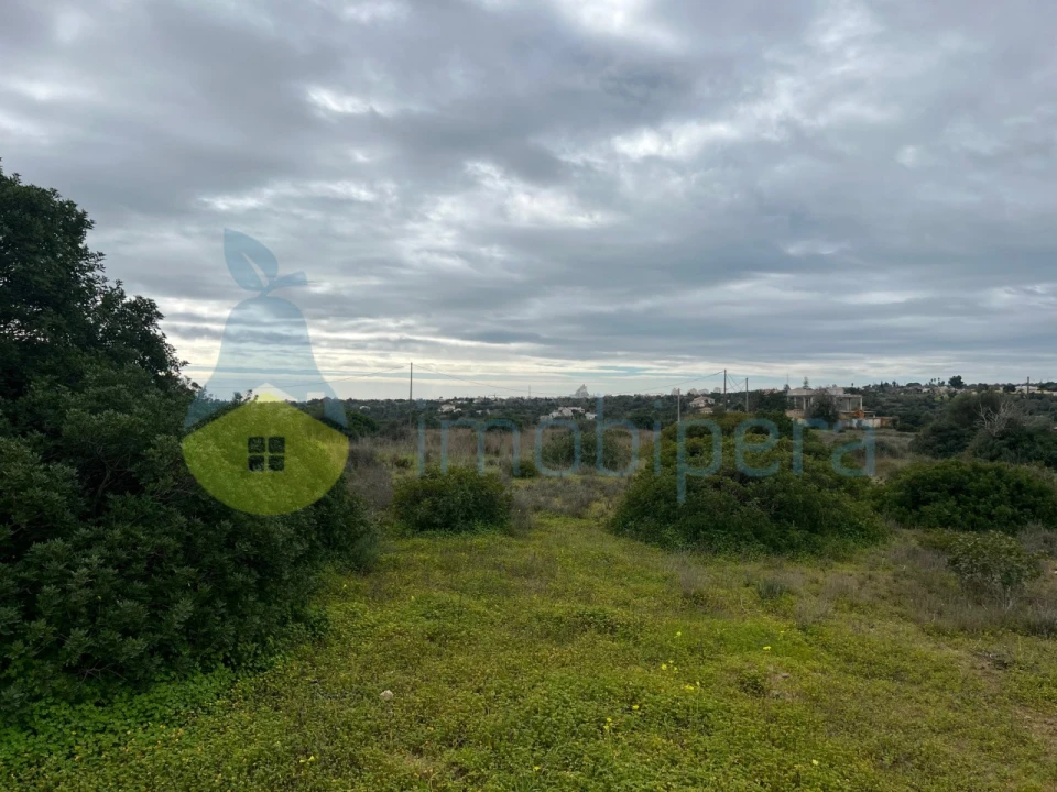 Terreno Misto para Venda em Alcantarilha e Pêra Foto 21