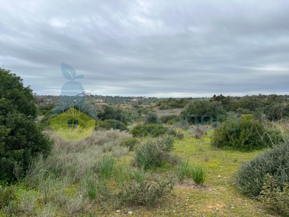 Terreno Misto para Venda em Alcantarilha e Pêra Foto 23