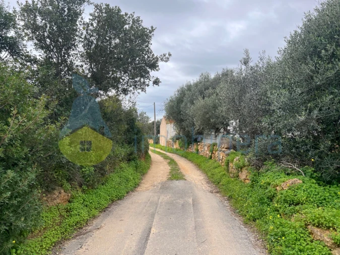 Terreno Misto para Venda em Alcantarilha e Pêra Foto 11