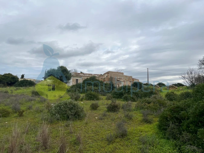 Terreno Misto para Venda em Alcantarilha e Pêra Foto 19