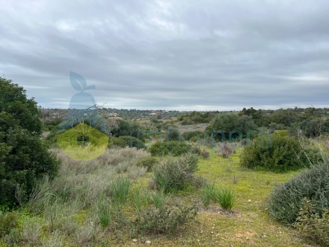 Terreno Misto para Venda em Alcantarilha e Pêra Foto 23