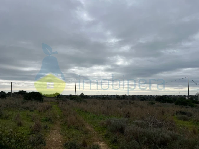 Terreno Misto para Venda em Alcantarilha e Pêra Foto 24