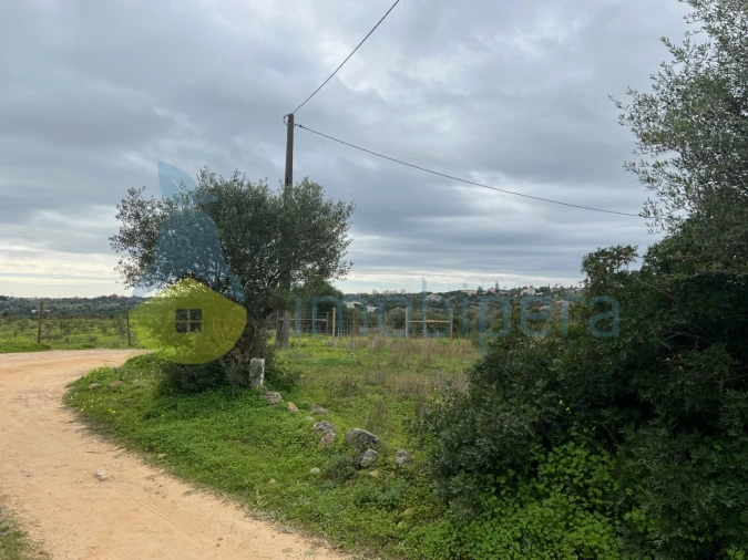 Terreno Misto para Venda em Alcantarilha e Pêra Foto 27