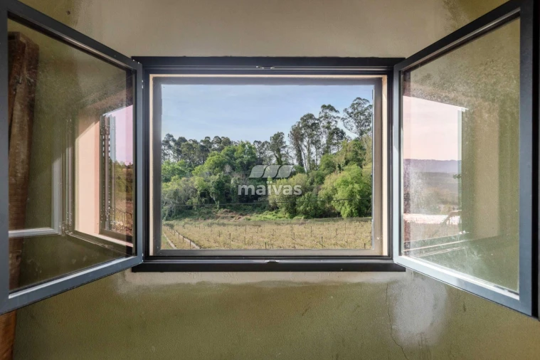 Moradia T4 para Venda em Pico de Regalados, Gondiães e Mós Foto 9