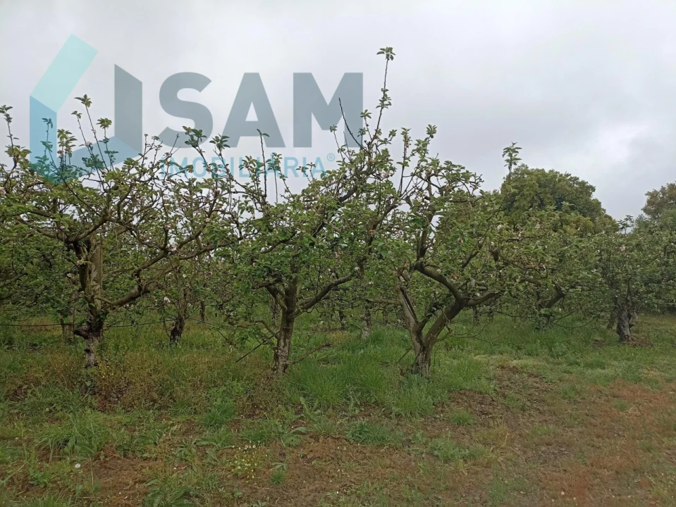 Terreno para Venda em Aldeia Galega da Merceana e Aldeia Gavinha Foto 5