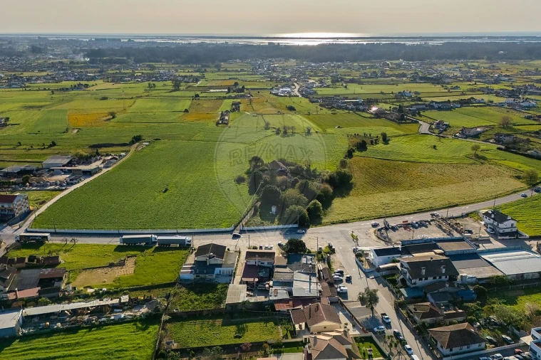 Negócio para Venda em Avanca Foto 28