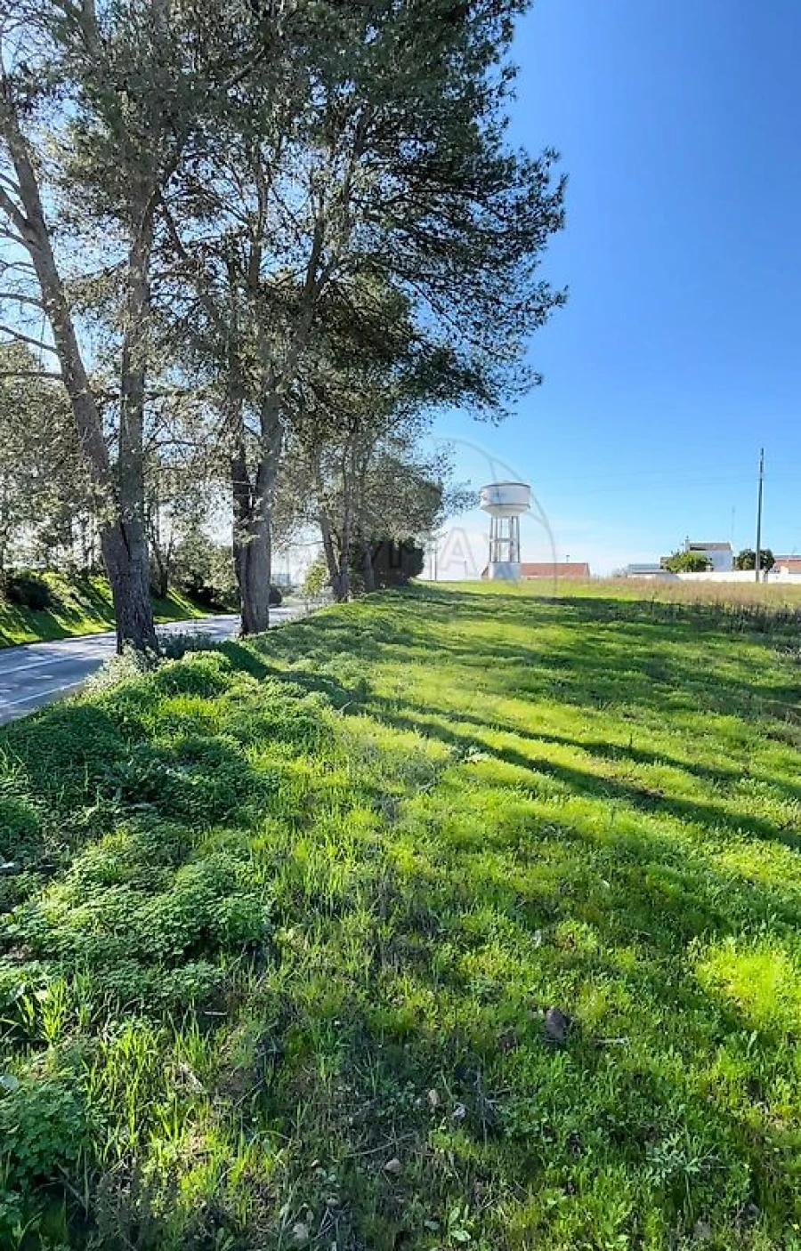 Terreno para Venda em Arraiolos