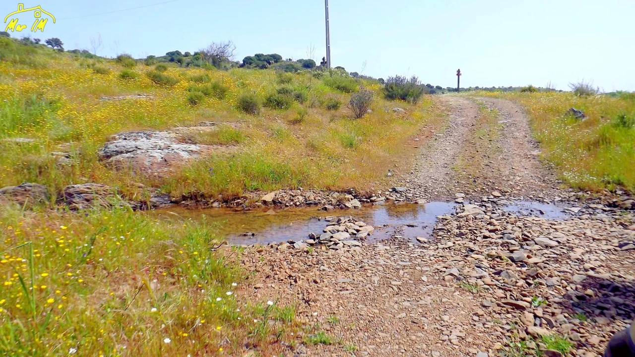 Terreno Agricola ou Rústico para Venda em Azinhal Foto 11