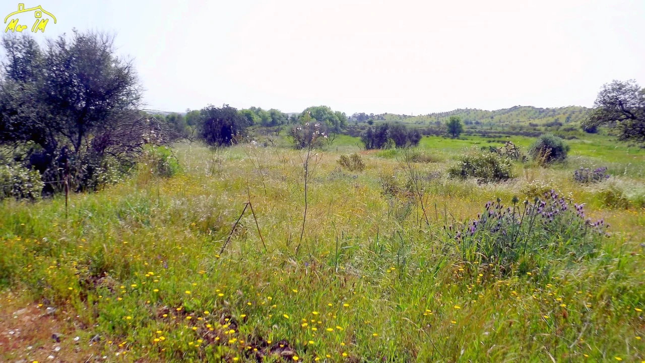 Terreno Agricola ou Rústico para Venda em Azinhal Foto 6