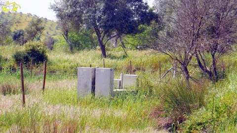Terreno Agricola ou Rústico para Venda em Azinhal