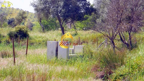 Terreno Agricola ou Rústico para Venda em Azinhal
