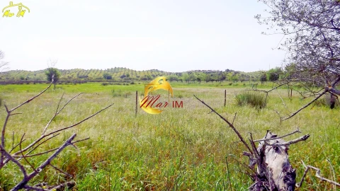 Terreno Agricola ou Rústico para Venda em Azinhal