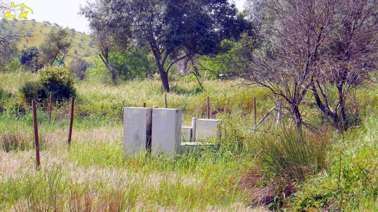 Terreno Agricola ou Rústico para Venda em Azinhal Foto 2