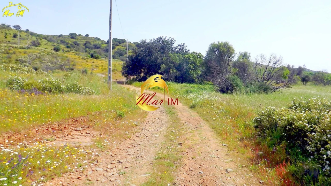 Terreno Agricola ou Rústico para Venda em Azinhal Foto 10
