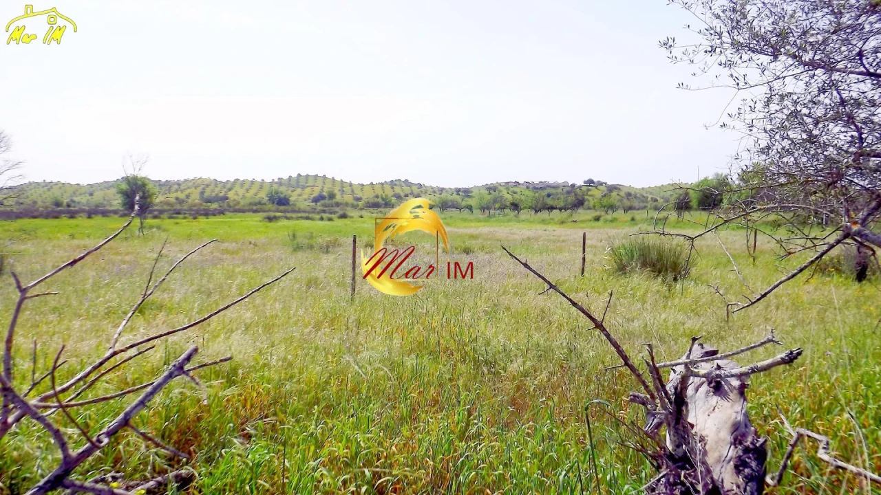Terreno Agricola ou Rústico para Venda em Azinhal Foto 9