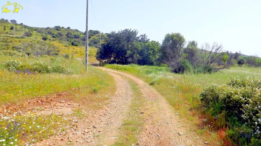 Terreno Agricola ou Rústico para Venda em Azinhal Foto 10