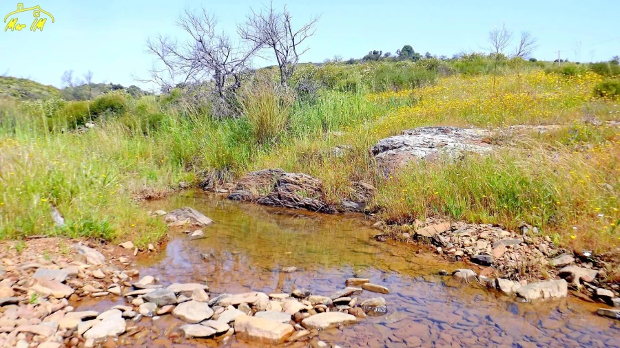 Terreno Agricola ou Rústico para Venda em Azinhal Foto 13