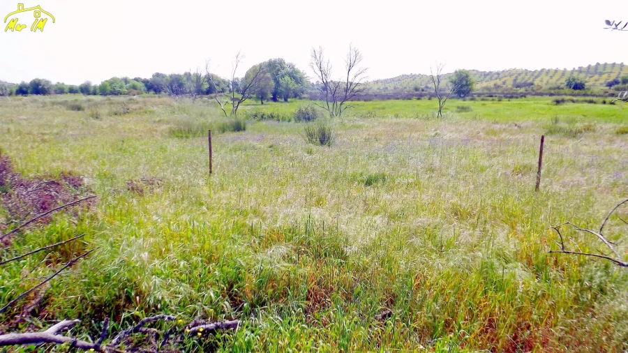 Terreno Agricola ou Rústico para Venda em Azinhal Foto 2