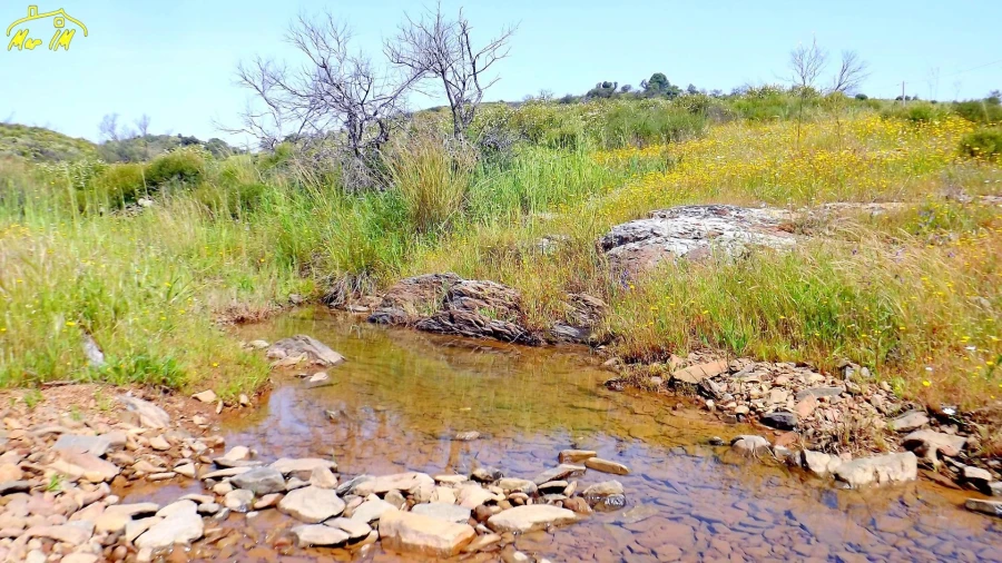 Terreno Agricola ou Rústico para Venda em Azinhal Foto 13