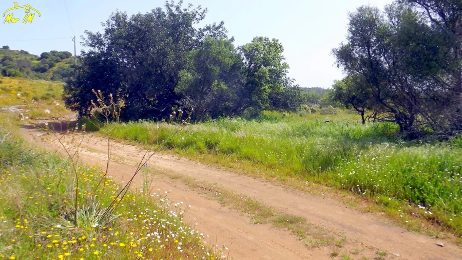 Terreno Agricola ou Rústico para Venda em Azinhal Foto 7