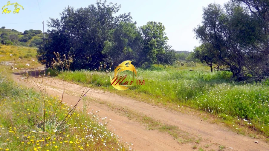 Terreno Agricola ou Rústico para Venda em Azinhal Foto 7