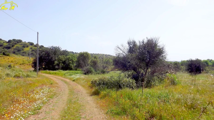 Terreno Agricola ou Rústico para Venda em Azinhal