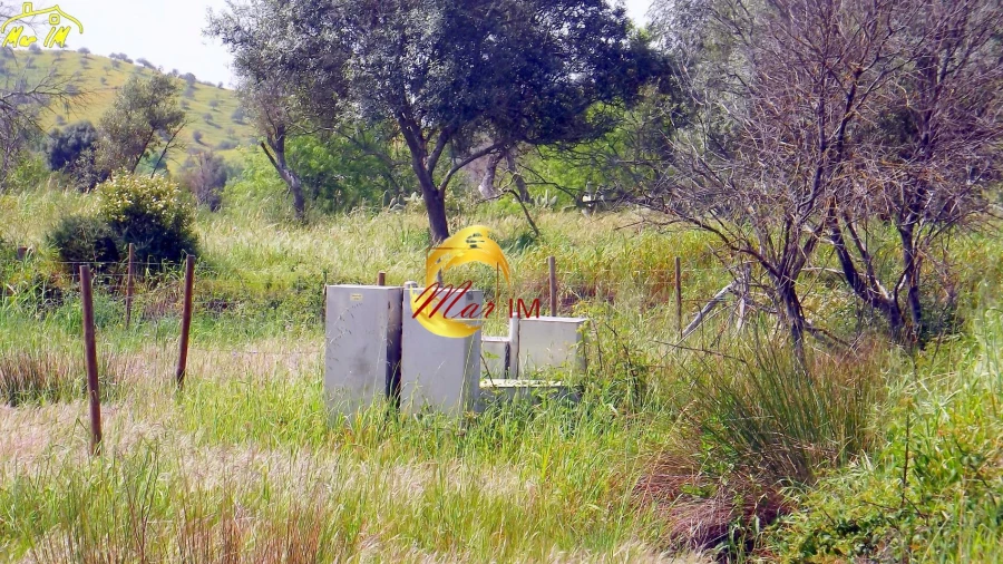 Terreno Agricola ou Rústico para Venda em Azinhal